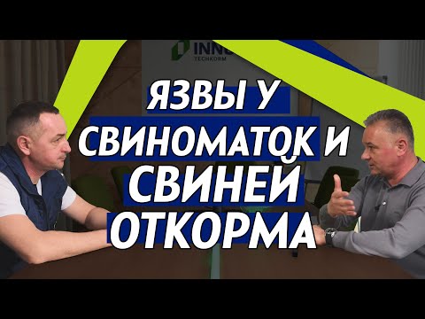 Видео: Какие причины вызывают язвы у свиноматок и свиней откорма