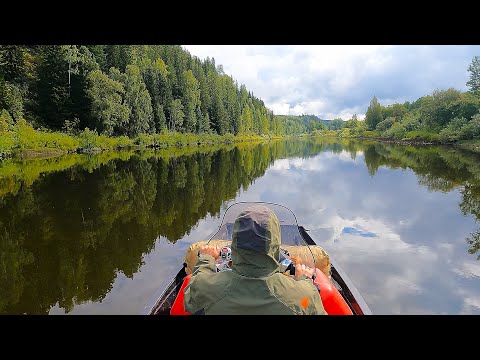 Видео: Август На Горной Реке. Хариус, Таёжный Быт и Невероятная Природа! Рыбалка На Мушки