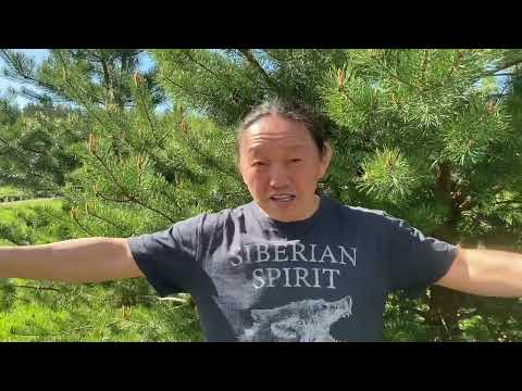 Видео: Тенгрианство -  древнее тюркское мировозрение.