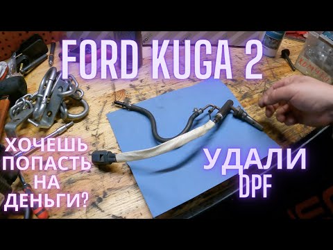 Видео: Ford Kuga 2 хочешь попасть на деньги? удали DPF