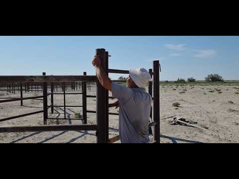 Видео: Жылқы  қамайтын(Раскол),ем-дом,таңбалауға,тиеуге ыңғайлы аула - қора.