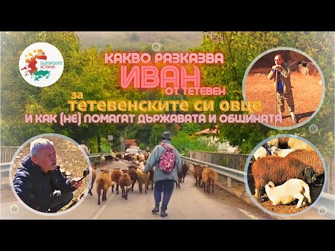 Видео: Животновъдство в планински район и Иван от Тетевен