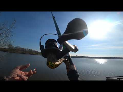 Видео: МАНКА с чесноком или МАСТЫРКА?! Рыбалка на поплавок. Ловля карася