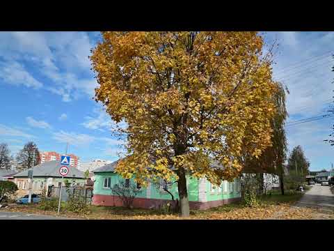 Видео: Осень в Туле(2)