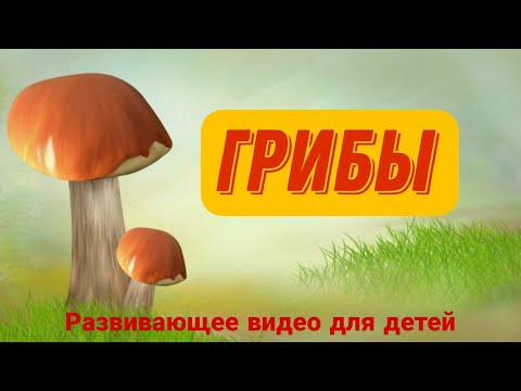 Видео: ГРИБЫ для детей. Лексическая тема "ГРИБЫ".🍄 ИЗУЧАЕМ ГРИБЫ. Развивающее видео