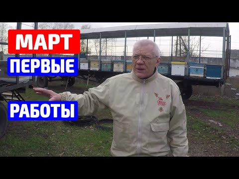 Видео: Весенние работы на пасеке Весенняя ревизия пчёл