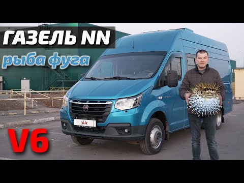 Видео: Газель NN рыба фуга V6.