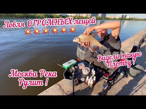Видео: Огромный Лещ и Плотва в Москве! Фидерная ловля на реке😳