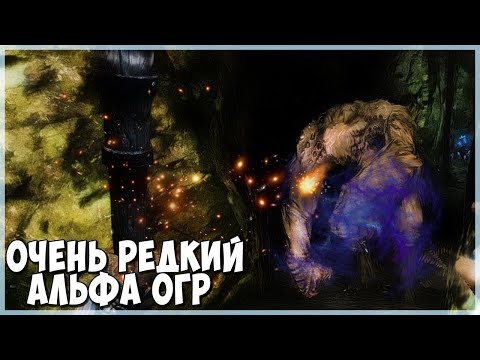 Видео: Skyrim ОЧЕНЬ РЕДКИЙ АЛЬФА ОГР (Тёмные Души)