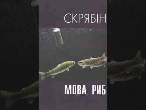 Видео: Скрябін - Осінь-Зима