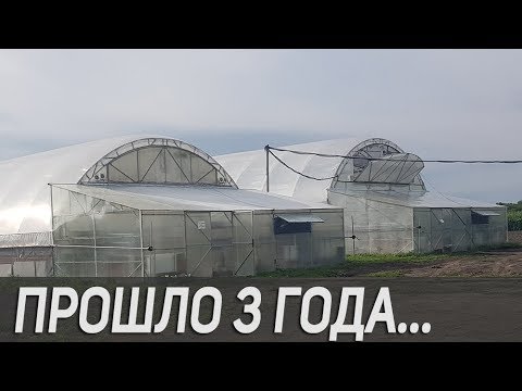 Видео: Теплицы после трех лет эксплуатации: то что с ними случилось это просто...