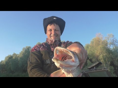 Видео: ЩУЧЬЕ ЦАРСТВО!!!Место, где рыбалка - настоящий праздник!