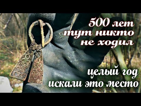 Видео: Не битый лес. Хабарницы трещали от находок.