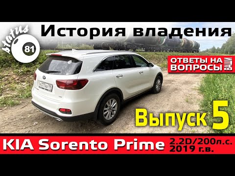 Видео: КИА Соренто Прайм (5) - Отвечаю на ваши вопросы / Багажник Соренто Прайм, Посадка за рулем Соренто 3