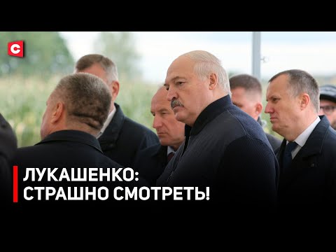 Видео: Лукашенко: УЖАС! Полная бесхозяйственность! | Президент приехал в хозяйство | Замечания Первого