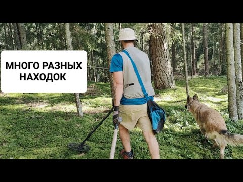 Видео: НАХОДКИ ПО СТАРОЙ ДОРОГЕ     #коп #монеты #металлоискатель #сезондлякопа