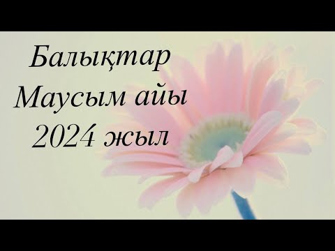 Видео: Балықтар 2024 жылдың Маусым айына арналған Таро жорамалы