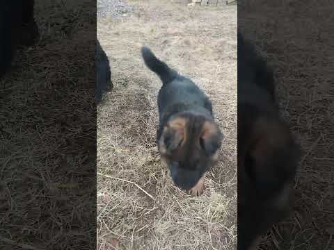 Видео: 29 октября гуляем