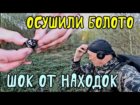 Видео: Осушили болото, мы в шоке от находок.