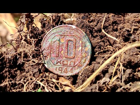 Видео: Коп монет и шурф домовой ямы летом💰Дорогая монета СССР