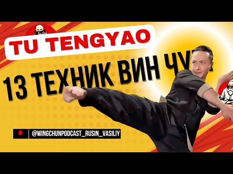 Видео: Вин Чун от Ту Тенг Яо (Tu Tengyao), разбор техник легендарного мастера! Ч.1 #винчун #tutengyao