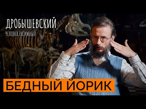 Видео: Эволюция черепа: от первых обезьян до современного человека // Дробышевский. Человек разумный