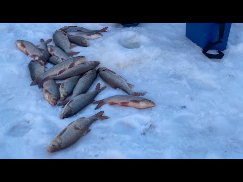 Видео: Маковское. Рыбалке на реке Кеть