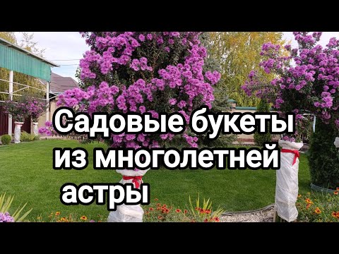 Видео: Ландшафтный дизайн: идеи для сада