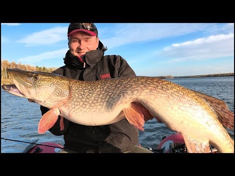 Видео: Щука МОНСТР поймана! РЕКОРД ВЗЯТ!!! Вот это рыбалка!