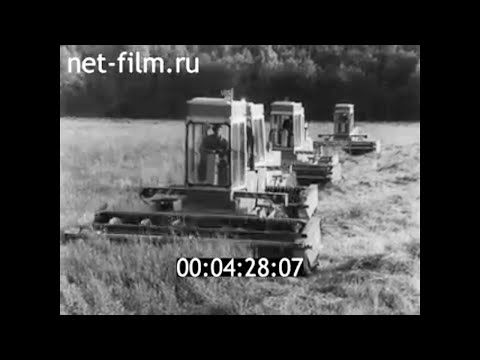 Видео: 1983г. совхоз Выборгский Всеволожский район Ленинградская обл