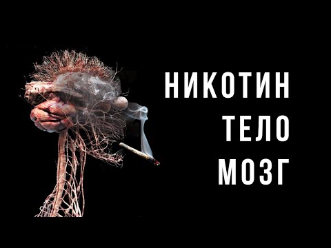 Видео: Как НИКОТИН и КУРЕНИЕ влияют на здоровье, мозг и поведение