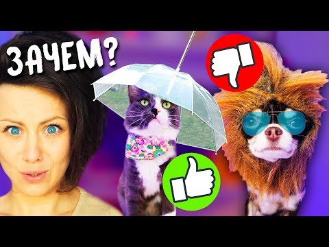 Видео: ТОП 5 безумных ТОВАРОВ ЗОНТ для собаки МАССАЖ ЩЁК для кошки Петшопинг для ЖИВОТНЫХ с Алиэкспресс