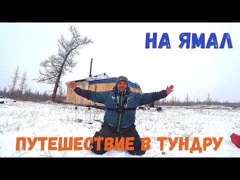 Видео: НА ПЕРВЫЙ ЛЕД В ТУНДРУ  Новое Путешествие на Ямал