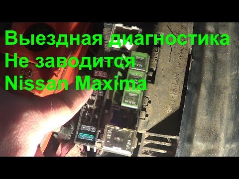 Видео: Выездная диагностика  Не заводится Nissan Maxima