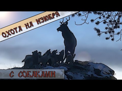 Видео: Охота на изюбря с собаками
