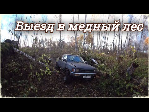 Видео: Выезд в медный лес и тяжелая обратная дорога. Продолжение копа на УЖД 40-х
