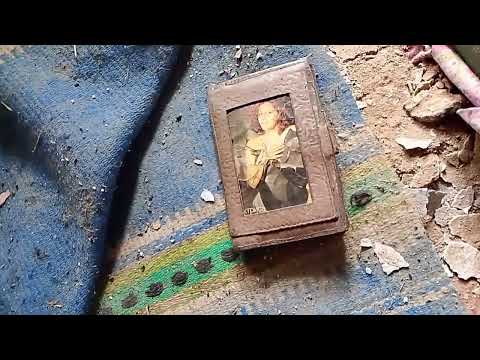 Видео: Один рабочий день в лесу. Отвод лесосеки.