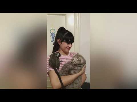Видео: "Тося 1" Забавная обезьянка Дианы Анкудиновой.