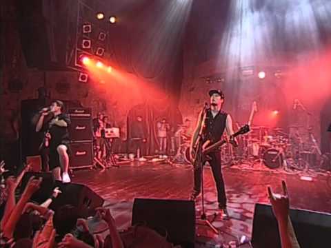 Видео: Amatory - Белый Шум (DMC Fest 2012)