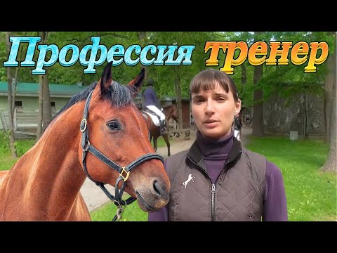 Видео: Профессия тренер по верховой езде. Тренер по конному спорту