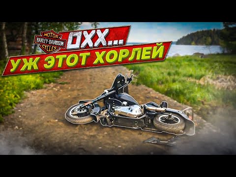 Видео: Не Покупай Хорлей, Пока Не Посмотришь Видео
