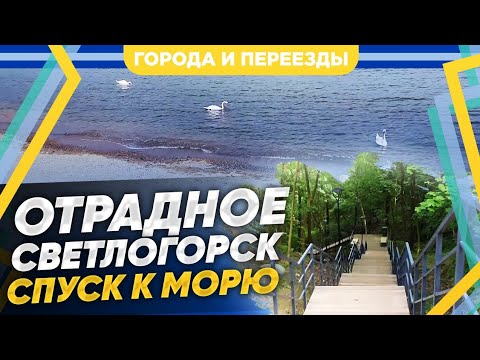 Видео: Отрадное. Калининградская область. Спуск к морю