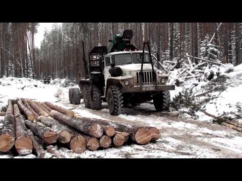 Видео: Один день из жизни лесоруба (Резня бензопилой)