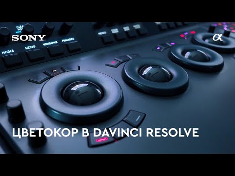Видео: Урок по цветокоррекции в Davinci Resolve - Sony Alpha Ambassador Евгений Дирипаскин