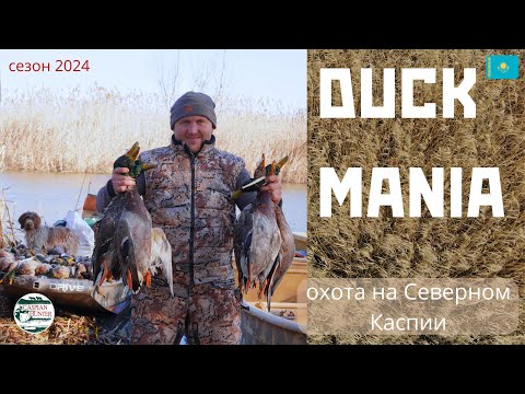 Видео: Лучшая охота на Каспии. Море утки. Сезон 2024