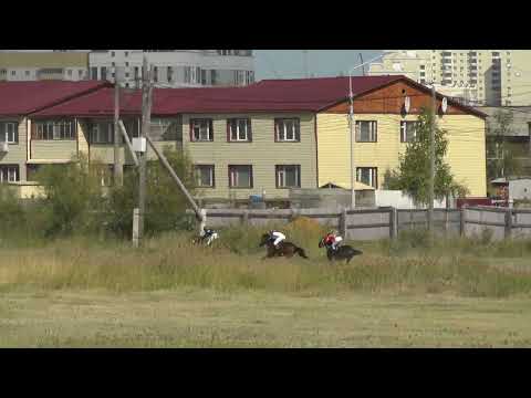 Видео: Скаковой день 17 августа. Дистанция 1200 м. Арчылаан