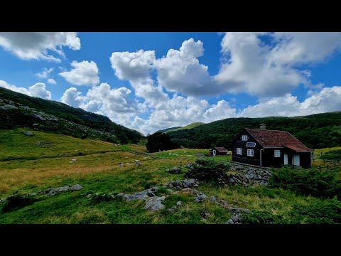 Видео: Новости Норвегии : слабая крона, больничные и многое другое.