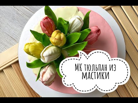 Видео: МК ТЮЛЬПАН ИЗ МАСТИКИ