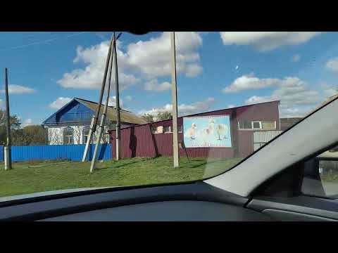 Видео: Перспективное село Виноградовка. У него все впереди.