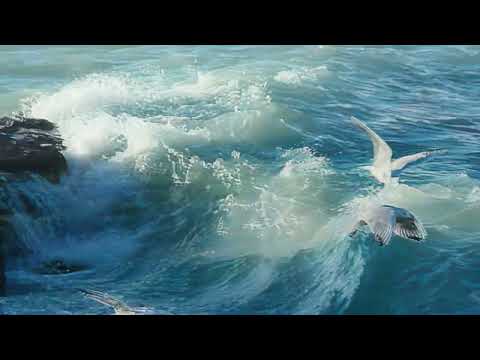 Видео: Волны Балхаша